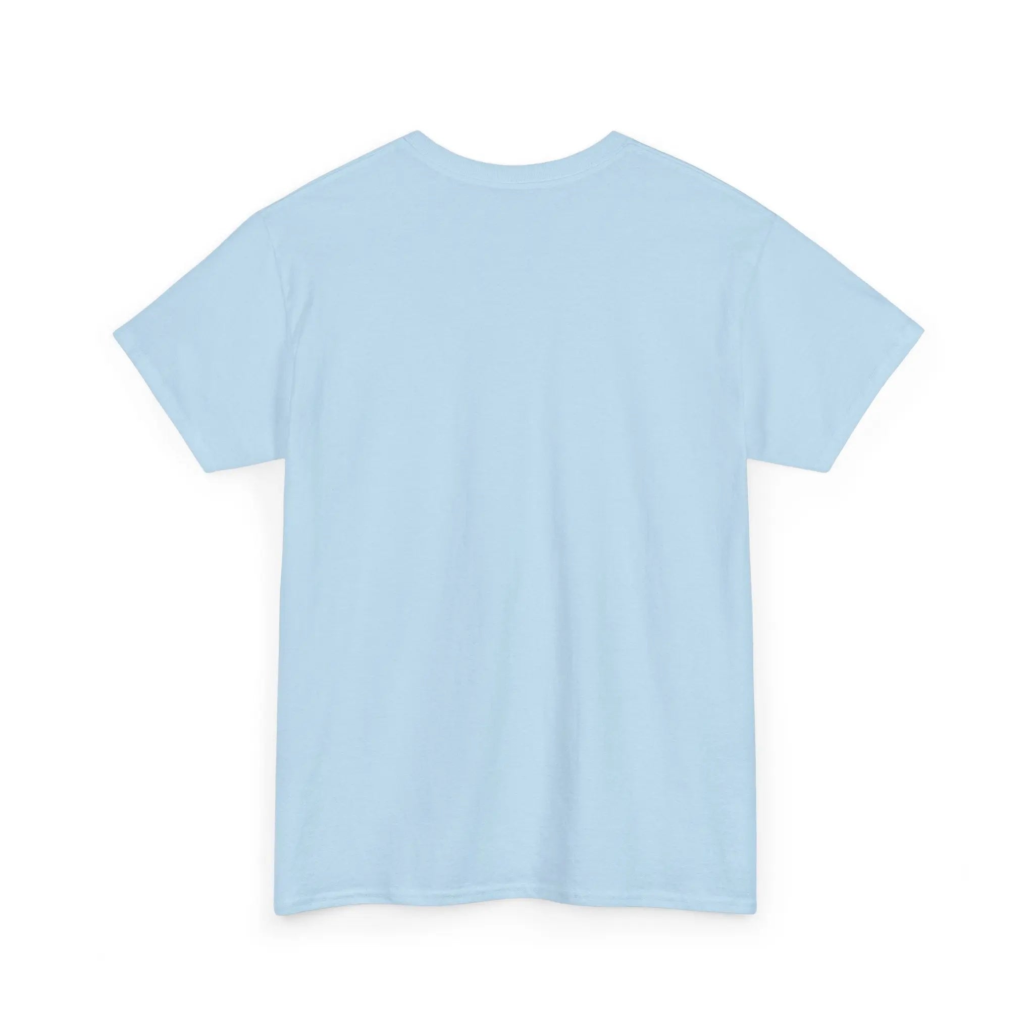 Light Blue Classic Surya and Soul Tee back picture
